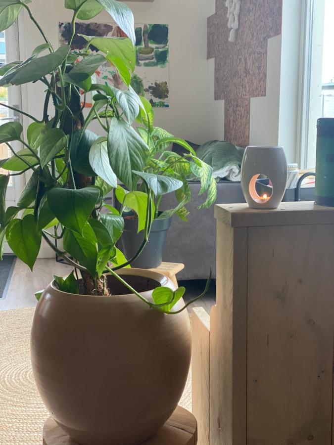 Warm Welkom! Zeer Ruime Prive Studio Met Tuin Harlingen Exterior foto